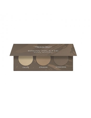 Pierre Rene Brow Palette...