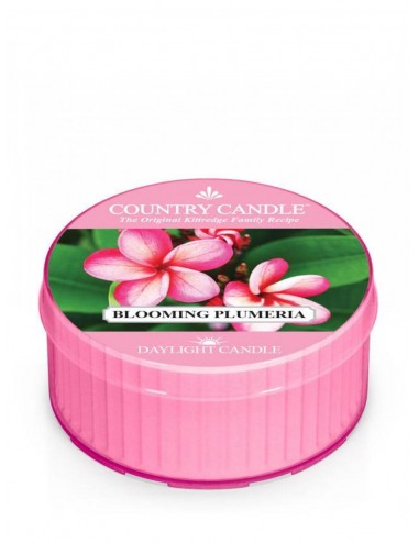 Country Candle-Daylight fragrant candle Blooming Plumeria 35g