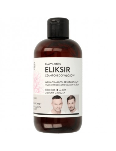 WS Academy - Eliksir...