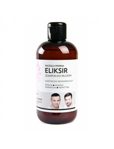 WS Academy - Eliksir...