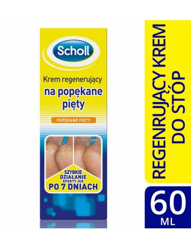 Scholl - K+ Regenerating...