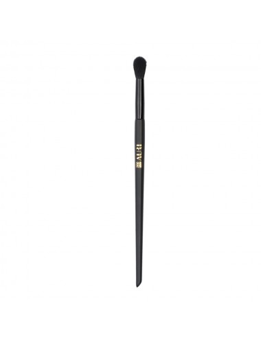 Pro Eye Blender Brush...