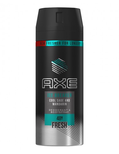 AXE Ice Breaker Cool Sage...