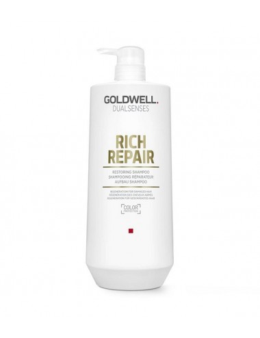 Dualsenses Rich Repair...