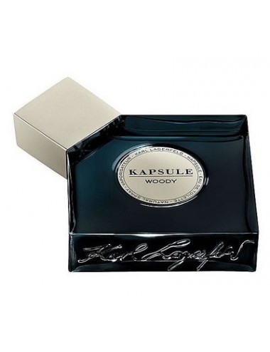 Karl Lagerfeld Kapsule...