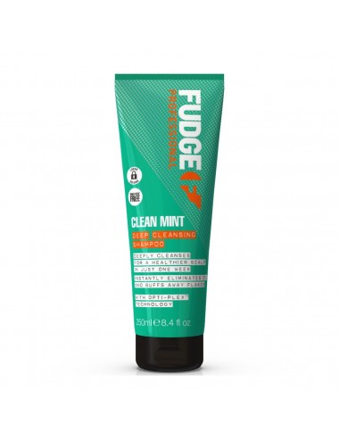 Clean Mint Deep Cleanising...