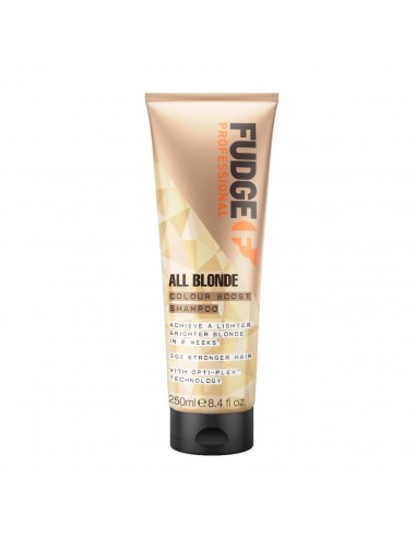 All Blonde Colour Boost...
